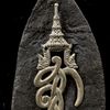 rokjit557