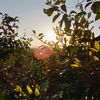 purrestnature.2367
