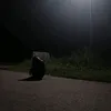 1_brokheruk_1