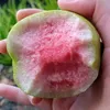 doinobacvoitaoqua