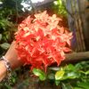 emonahamed_007
