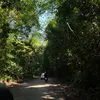 mitran_205