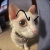 phanuwat_377