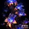 user670128011