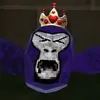 testyvr
