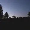 mxr_txn1