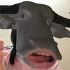 yeuemdentungtebao_22