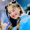 cutelily55544