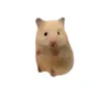 daiuybun