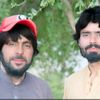 shahzad.basar