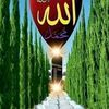 md.raj.raj18