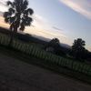 olivero_rodriguez_