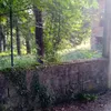 igorino8