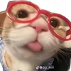 hng.nnn5