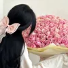 s_ash19