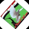 ابو هاشم وبس (313) ✓🦅