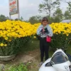 kimlan310