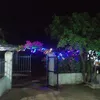 thichcaynhieuphim