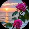 user1409005677437