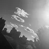 alvxia_1