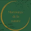 murmuresnature