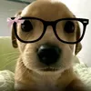 amjad_alahyane11