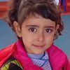 mahdi_shbshoul