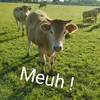 le_massacreur5