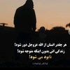 ahmad.jan243