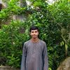 shibir31