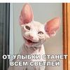 user16026808075760