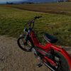 swiss_lenny10