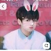cooky8737