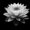 thi.dng935