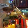 filucca_lykke3