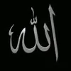thehalalside8414