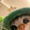 hani_alex_99