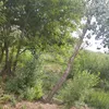 soso__marwa__
