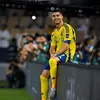 heve.cris