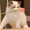 nhu_nhu09