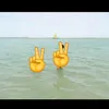 pili_