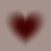 its.lia558