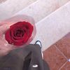 no__al08