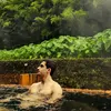 tiktolitico