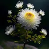 haohoa2399