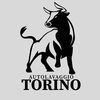 Torino autolavaggio