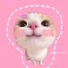 danghaiyen14