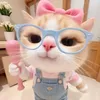 chipciti8