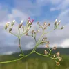imonglubot0