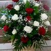 user3701218178540